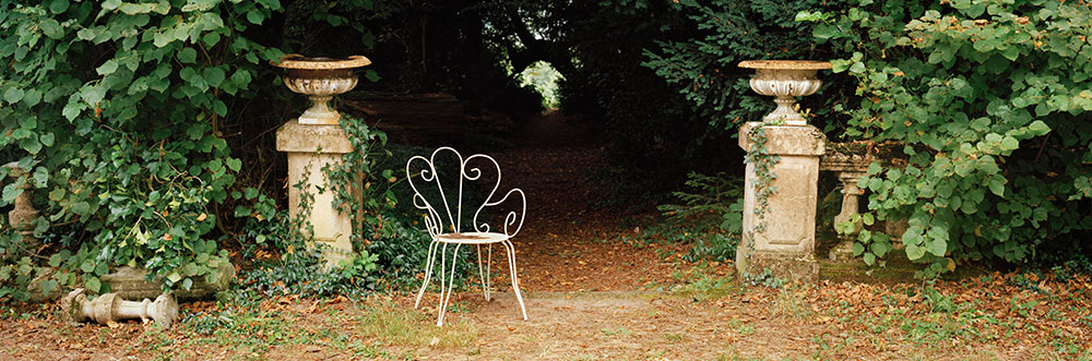 Coeur de la Forêt